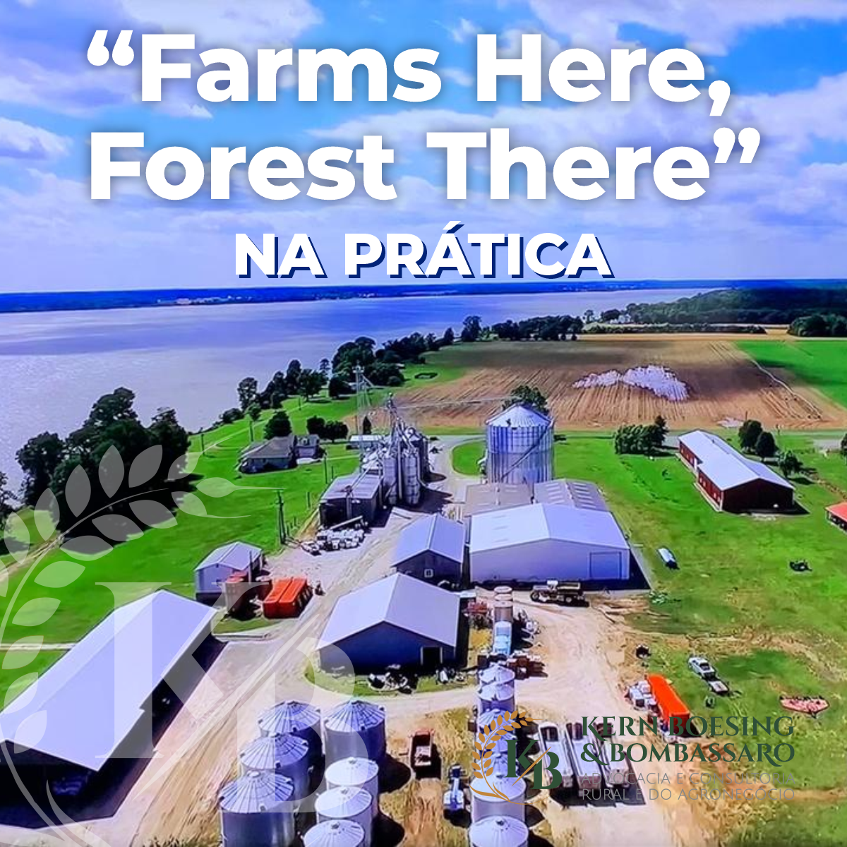 Farmerama: como jogar, plantar e entregar encomendas da sua fazenda